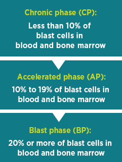 About_Phase_Graphic